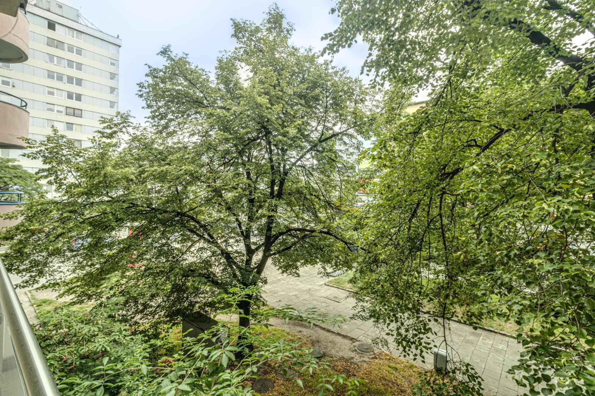 Rentplanet - Apartament Kosciuszki 브로츠와프 외부 사진